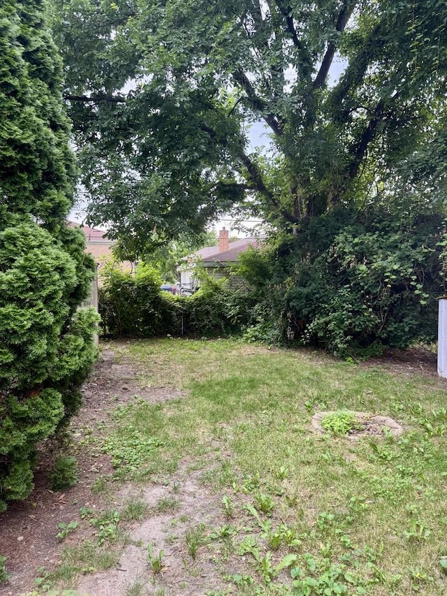 5125 W 101st St, Oak Lawn, IL 60453 - view of yard