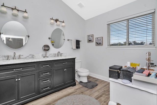 26226 W Tallgrass Trl, Channahon, IL 60410 - full bath featuring vaulted ceiling, double vanity, and wood finished floors
