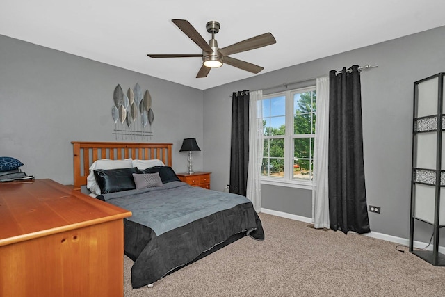 26226 W Tallgrass Trl, Channahon, IL 60410 - bedroom with carpet floors and a ceiling fan