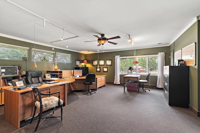 1108 Plaza Dr, New Lenox, IL 60451 - office area with carpet floors, ceiling fan, crown molding, and rail lighting