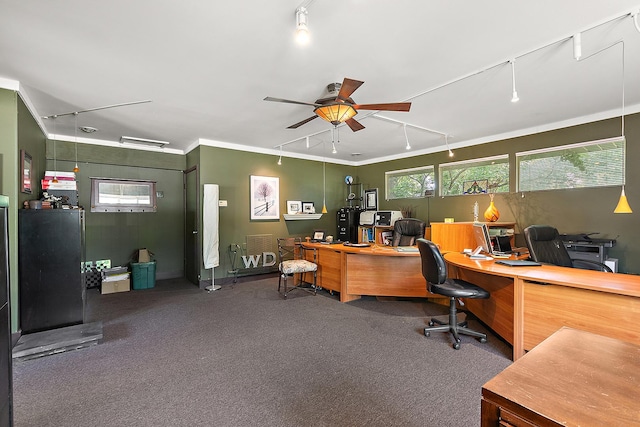 1108 Plaza Dr, New Lenox, IL 60451 - carpeted office space featuring a ceiling fan, track lighting, healthy amount of natural light, and crown molding