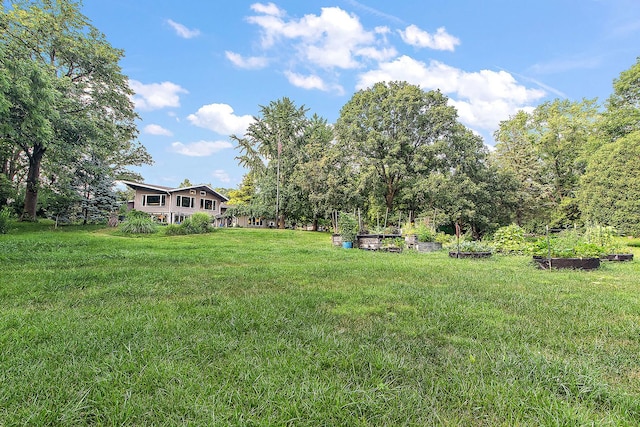 1108 Plaza Dr, New Lenox, IL 60451 - view of green lawn featuring a garden