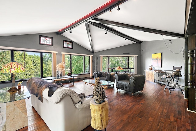 1108 Plaza Dr, New Lenox, IL 60451 - living area with rail lighting and hardwood / wood-style flooring