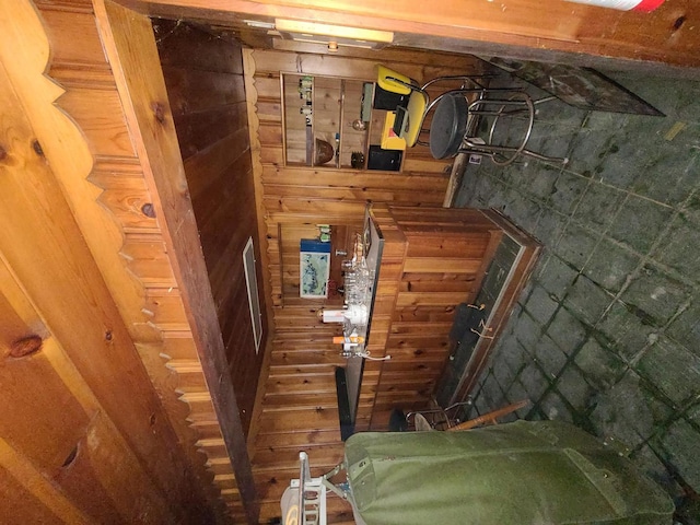 basement with wood walls