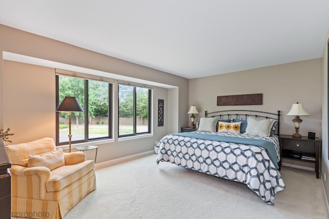 285 N Bay Ct, Lake Barrington, IL 60010 - bedroom with carpet and baseboards