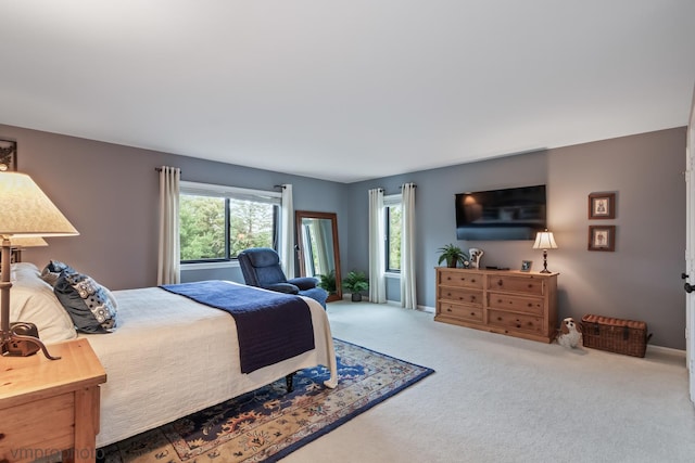 285 N Bay Ct, Lake Barrington, IL 60010 - bedroom with multiple windows and carpet flooring