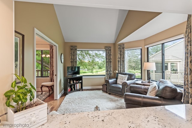 285 N Bay Ct, Lake Barrington, IL 60010 - living room with lofted ceiling and wood finished floors
