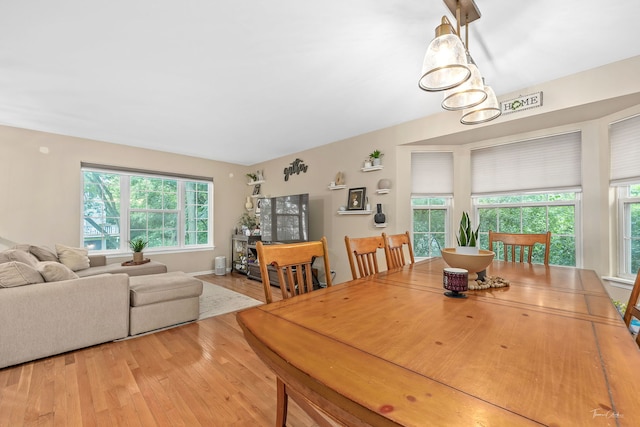 1631 Orchard Ct, West Chicago, IL 60185 - photo 9