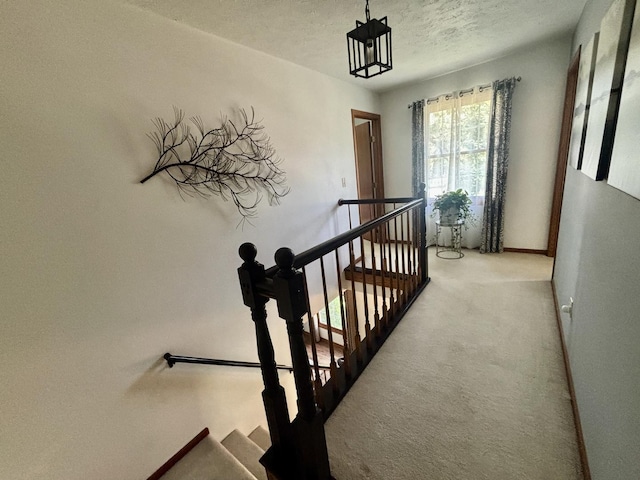 120 Colebrook Pl, Rockton, IL 61072 - stairs featuring carpet floors and a textured ceiling