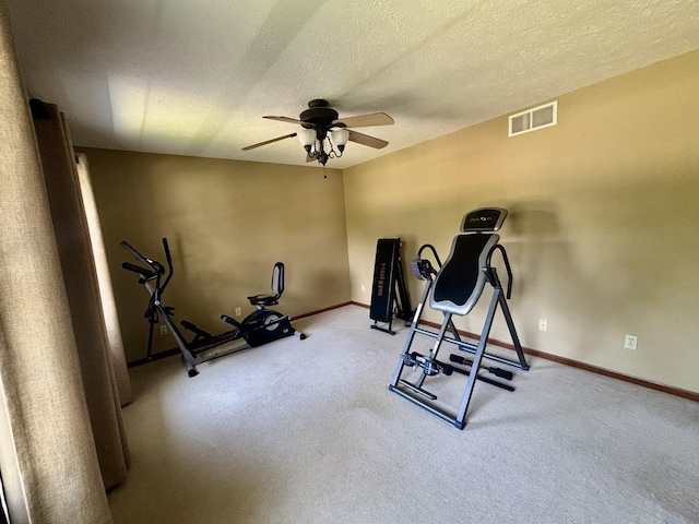 120 Colebrook Pl, Rockton, IL 61072 - workout area with ceiling fan and carpet flooring