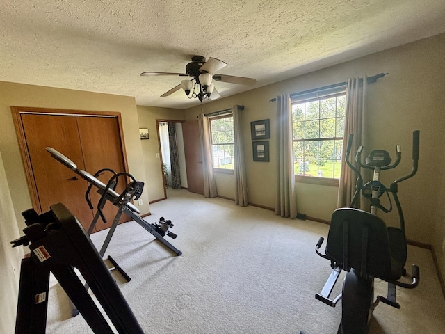 120 Colebrook Pl, Rockton, IL 61072 - exercise area with ceiling fan, a textured ceiling, and light colored carpet