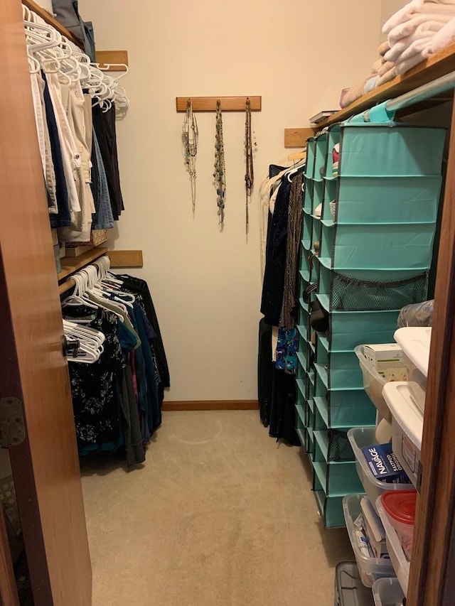 120 Colebrook Pl, Rockton, IL 61072 - spacious closet with light colored carpet