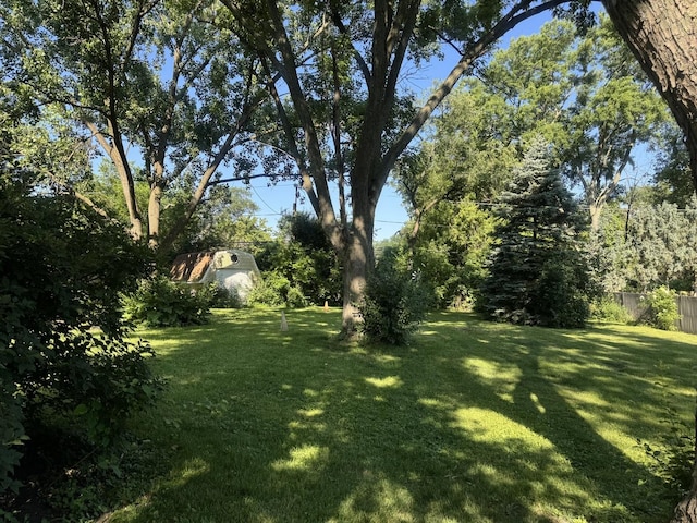 6006 Pershing Ave, Downers Grove, IL 60516 - view of yard