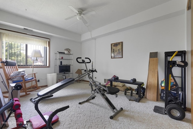 1502 Woodbridge Rd Unit 2H, Joliet, IL 60436 - exercise area featuring a ceiling fan and carpet