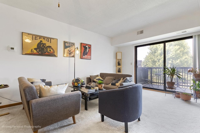 1502 Woodbridge Rd Unit 2H, Joliet, IL 60436 - living room featuring light carpet