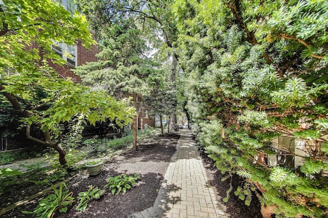 3851 N Kedvale Ave Unit E3, Chicago, IL 60641 - view of yard