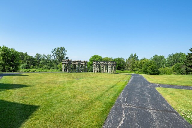 11545 Settlers Pond Way Unit 2A, Orland Park, IL 60467 - photo 22