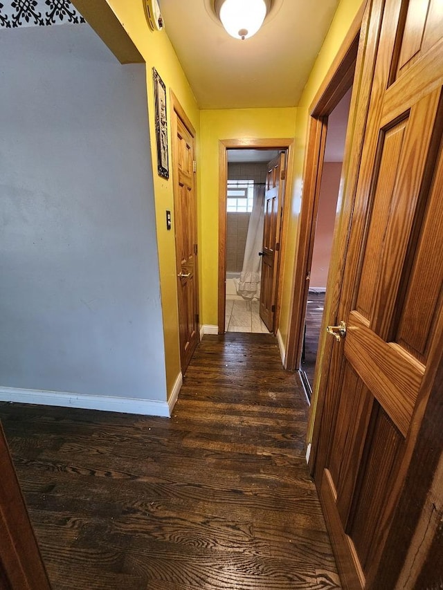355 Oswego St, Park Forest, IL 60466 - corridor with dark wood-type flooring and baseboards