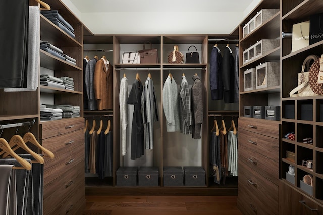 363 E Wacker Dr Unit 3303, Chicago, IL 60601 - spacious closet featuring wood finished floors