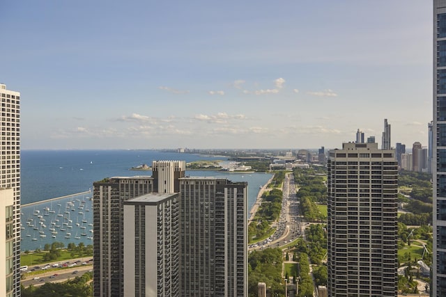 363 E Wacker Dr Unit 3303, Chicago, IL 60601 - view of city with a large body of water