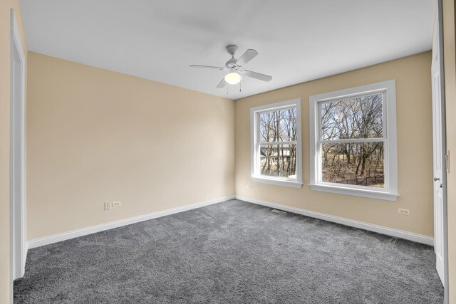 39W027 Dean St, Saint Charles, IL 60175 - photo 21