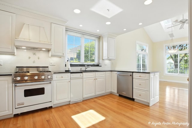 32756 N Stone Manor Dr, Grayslake, IL 60030 - kitchen featuring high end white range oven, dishwasher, a skylight, custom range hood, and light wood-type flooring