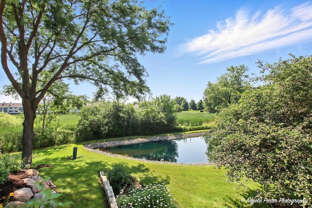 32756 N Stone Manor Dr, Grayslake, IL 60030 - water view