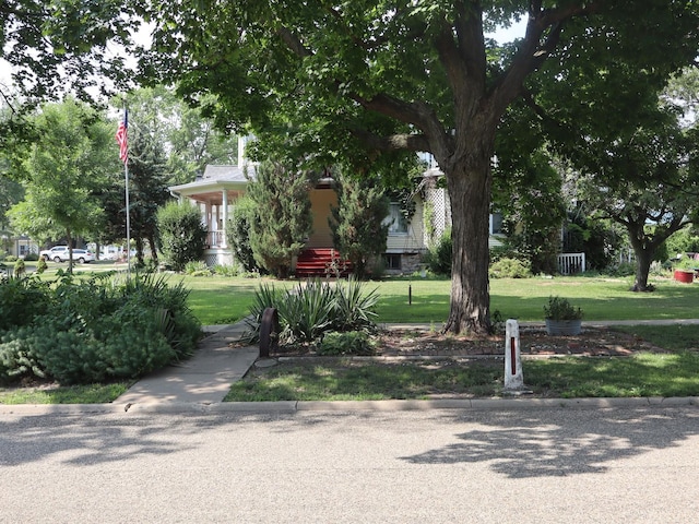 303 N Walnut St, Wenona, IL 61377 - view of community with a lawn