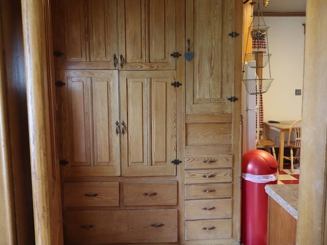 303 N Walnut St, Wenona, IL 61377 - view of closet