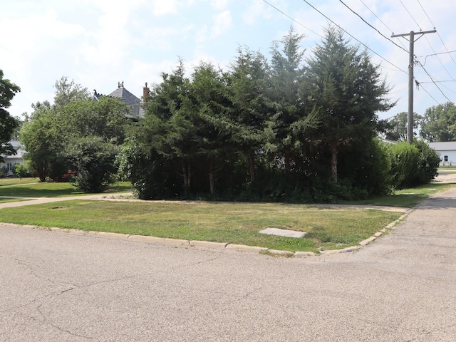 303 N Walnut St, Wenona, IL 61377 - view of asphalt road with curbs
