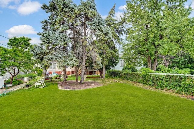 6238 S Kolmar Ave, Chicago, IL 60629 - view of grassy yard
