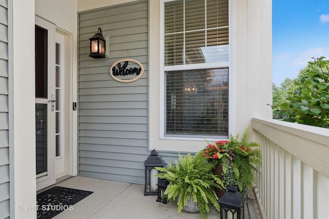 4015 Chesapeake Ln, Naperville, IL 60564 - entrance to property featuring covered porch