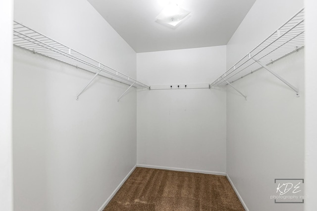 1008 Lakewood Cir, Naperville, IL 60540 - spacious closet with carpet