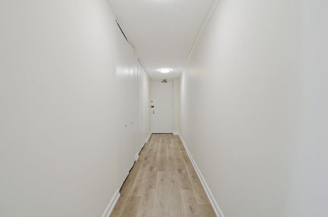 405 N Wabash Ave Unit 506, Chicago, IL 60611 - hallway with light wood finished floors and baseboards