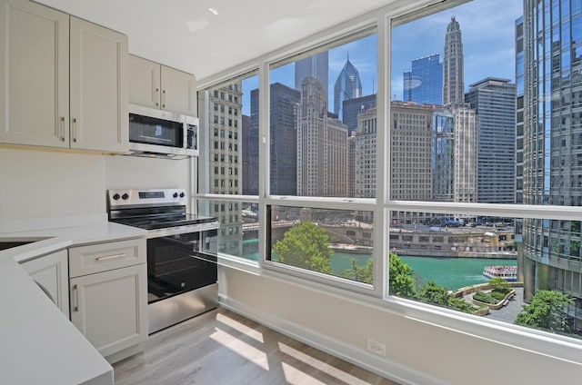 405 N Wabash Ave Unit 506, Chicago, IL 60611 - kitchen with appliances with stainless steel finishes, a skyline view, light wood finished floors, and light countertops