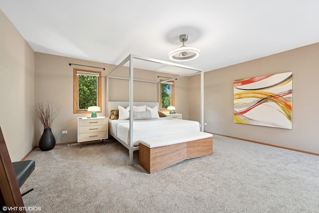 6579 Windham Ln, Long Grove, IL 60047 - bedroom with multiple windows and carpet flooring