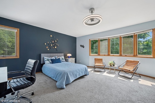 6579 Windham Ln, Long Grove, IL 60047 - bedroom featuring multiple windows, carpet flooring, and an office area