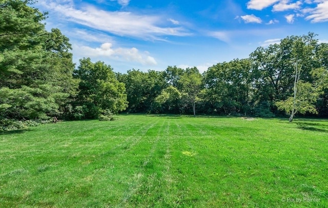 6579 Windham Ln, Long Grove, IL 60047 - view of grassy yard with a wooded view