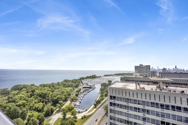 3600 N Lake Shore Dr Unit 1004, Chicago, IL 60613 - water view with nearby urban area
