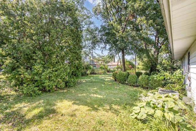 712 Central Park Ave, Flossmoor, IL 60422 - view of yard