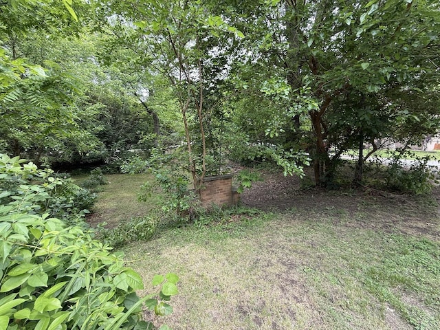 120 S Wabash Ave, Glenwood, IL 60425 - view of yard