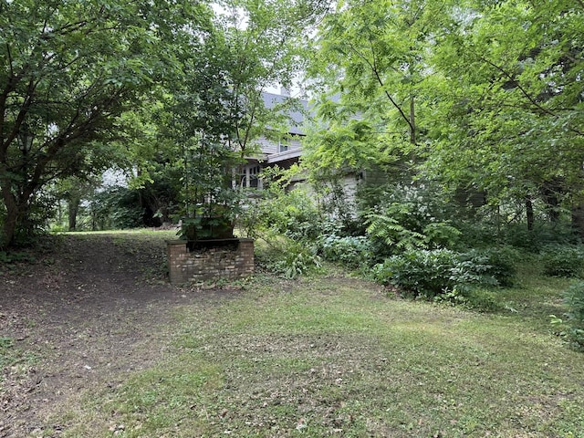 120 S Wabash Ave, Glenwood, IL 60425 - view of yard
