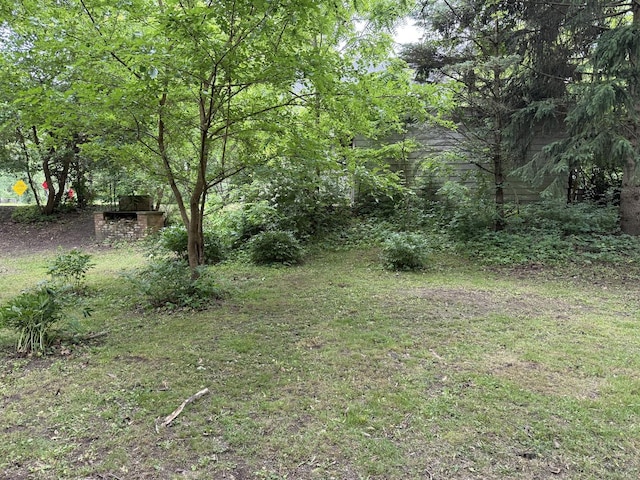 120 S Wabash Ave, Glenwood, IL 60425 - view of yard