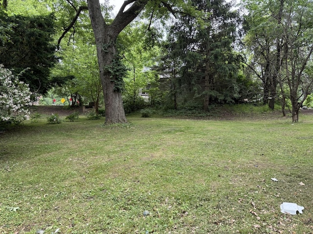 120 S Wabash Ave, Glenwood, IL 60425 - view of grassy yard