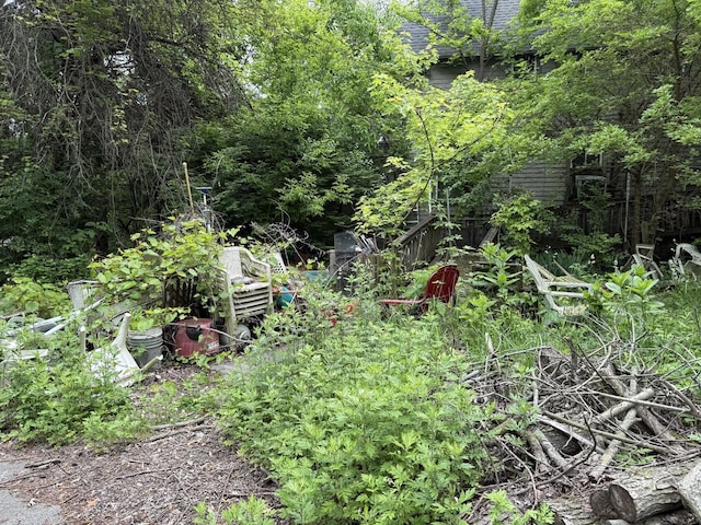 120 S Wabash Ave, Glenwood, IL 60425 - view of yard