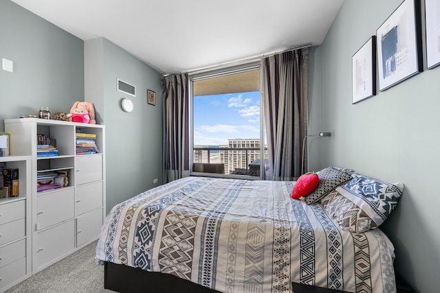 100 E 14th St Unit 2004, Chicago, IL 60605 - photo 13