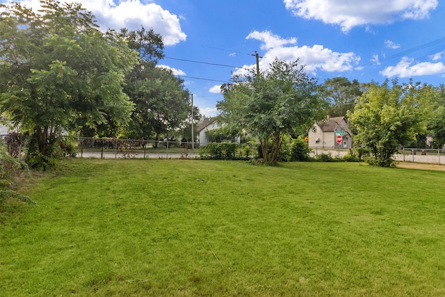 2911 Preston St, Rockford, IL 61102 - view of yard