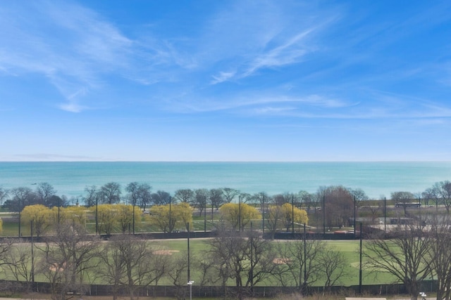 2912 N Commonwealth Ave Unit 10Cd, Chicago, IL 60657 - photo 6