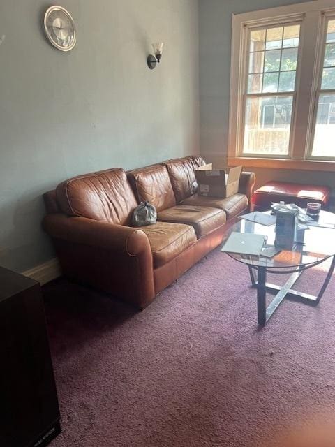 7411 S Morgan St, Chicago, IL 60621 - view of carpeted living room