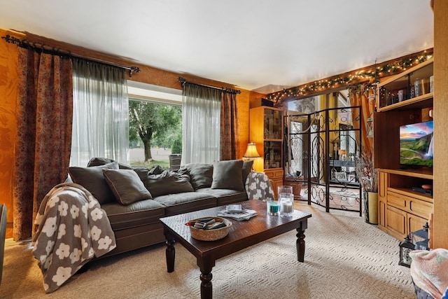 13420 Florence Rd, Mokena, IL 60448 - living room featuring carpet floors